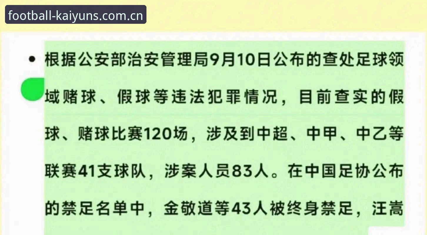足协第三批禁足名单深度解析，65人受罚背后的中国足球整顿